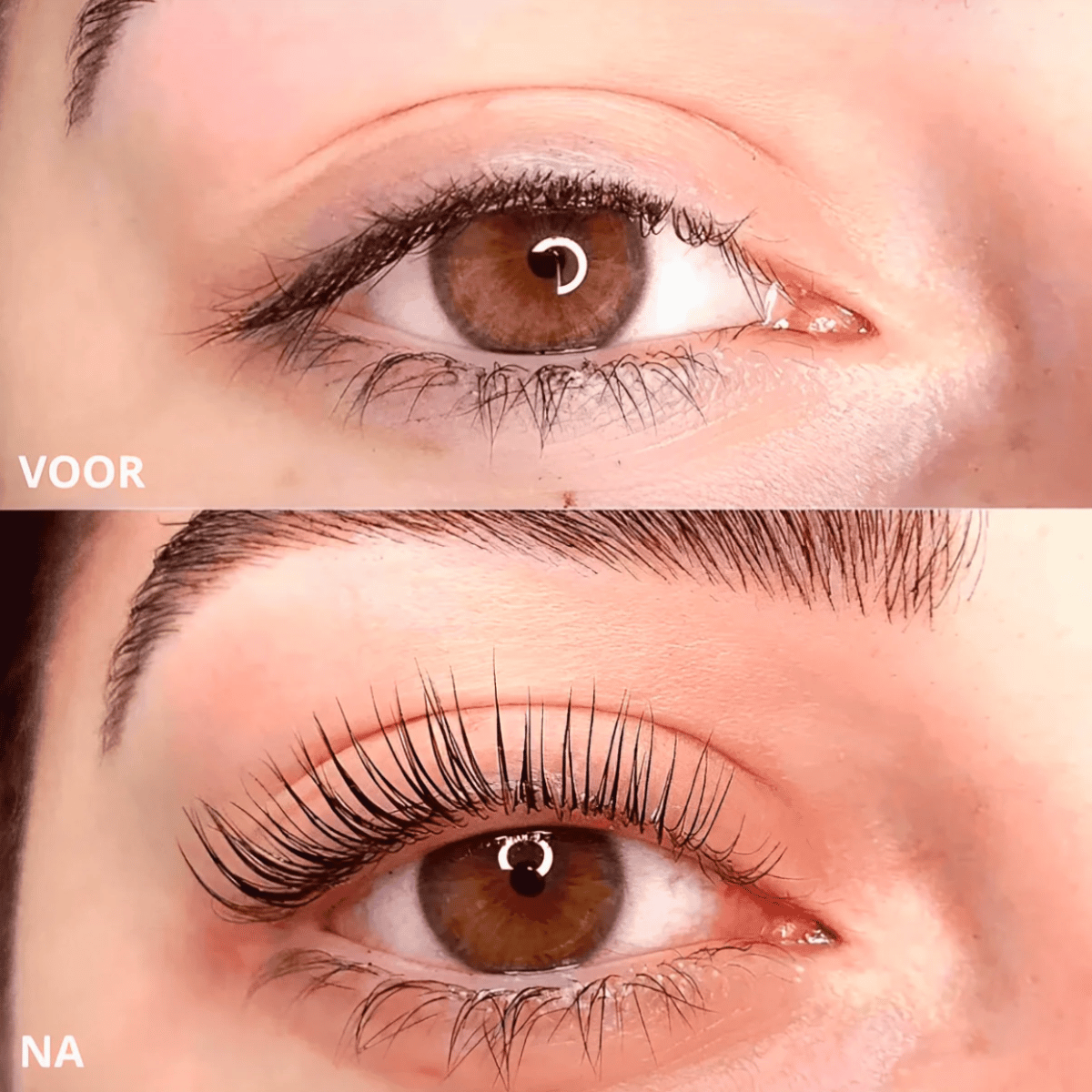 PERFECTCURL WIMPERKRULLER